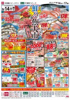 page 1 thumbnail