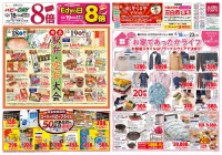 page 1 thumbnail